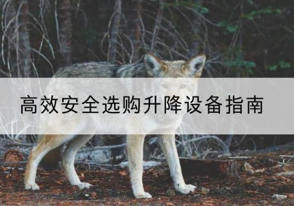 邯山升降货梯厂家推荐-*安全选购升降设备指南