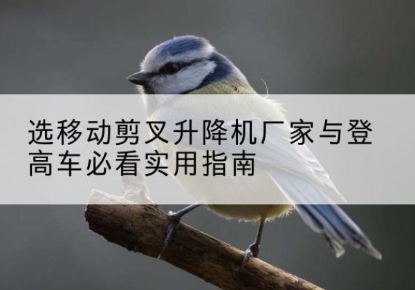 邯山电动升降机厂家-选移动剪叉升降机厂家与登高车必看实用指南