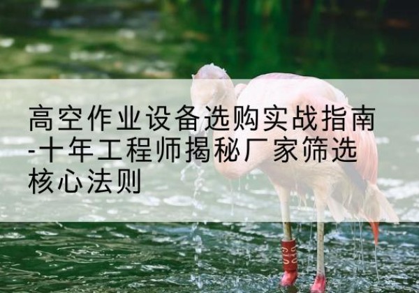 邯山剪叉式升降机厂家-高空作业设备选购实战指南-十年工程师揭秘厂家筛选核心法则